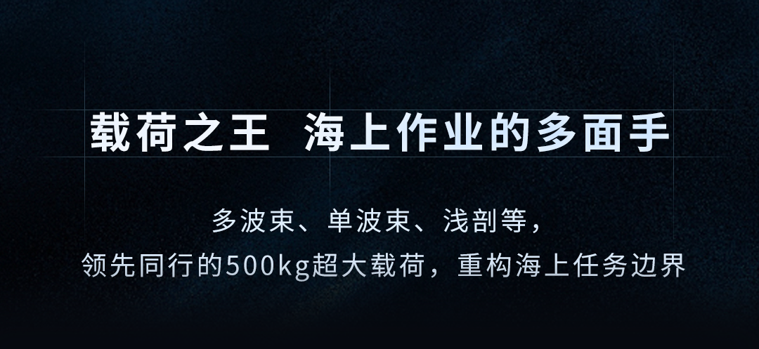 载荷之王